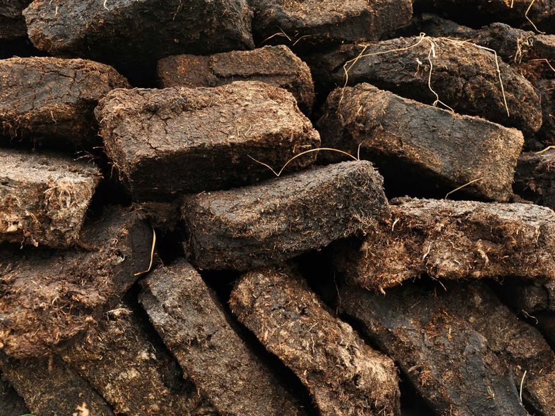 Зачем торф в саду и огороде?