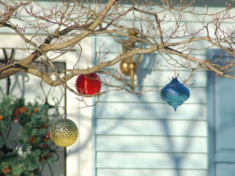 Рецепт раствора для обработки сада зимой от Ивана Русских. АГРОдзен