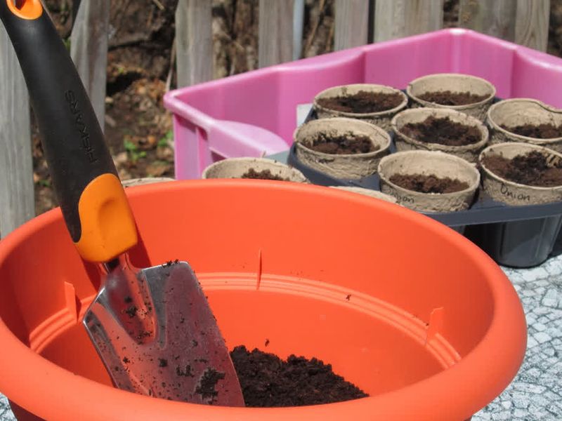 Грунт для рассады