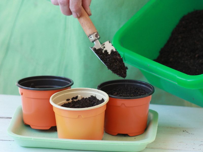 Грунт для рассады - AGROzen