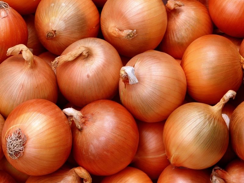 Опасности хранения репчатого лука. Трипсы. Способы борьбы с вредителями урожая!