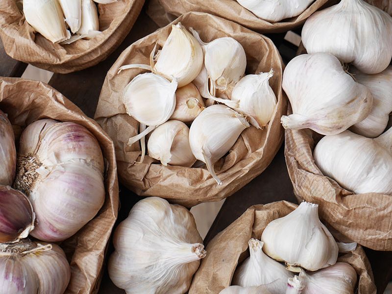 Семь способов хранения лука и чеснока от AGROzen. Как хранить чеснок? 