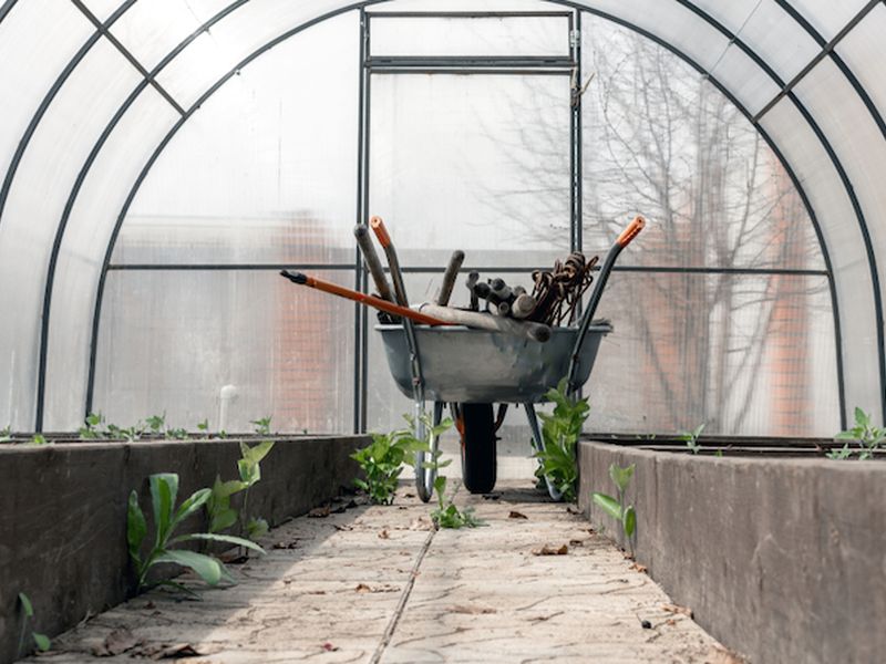 Здоровая почва - богатый урожай - AGROzen