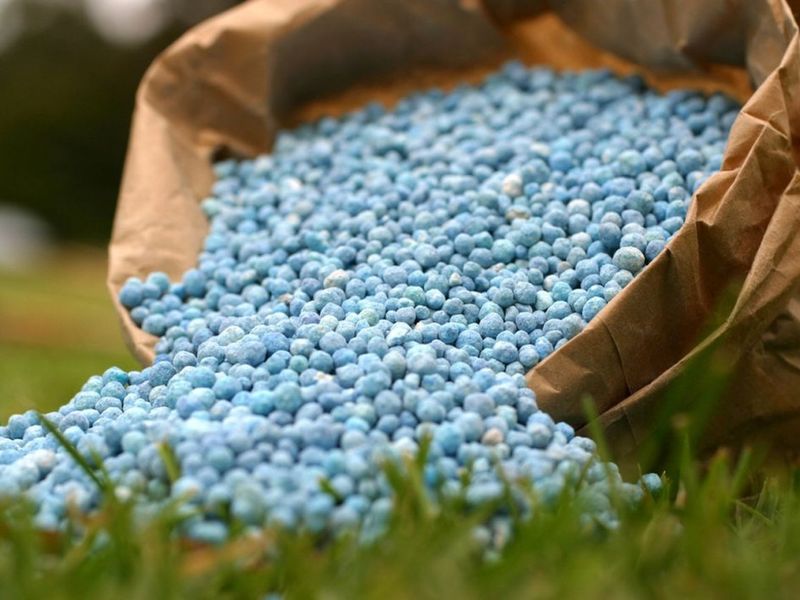 Какие удобрения лучше: минеральные или органические?