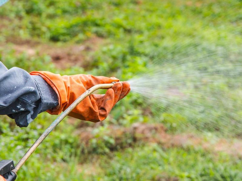 Внимание! Грибковая угроза!