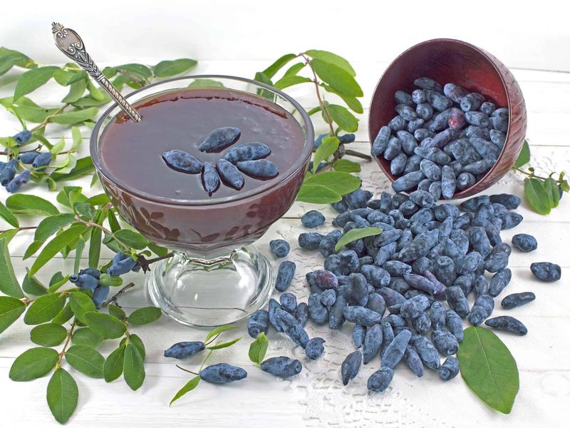 Простые рецепты из жимолости