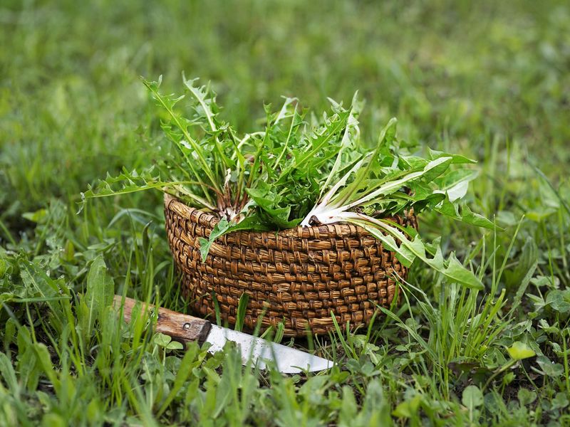 Как вредное может стать полезным