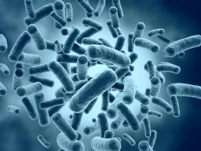 Выращиваем маленьких помощников