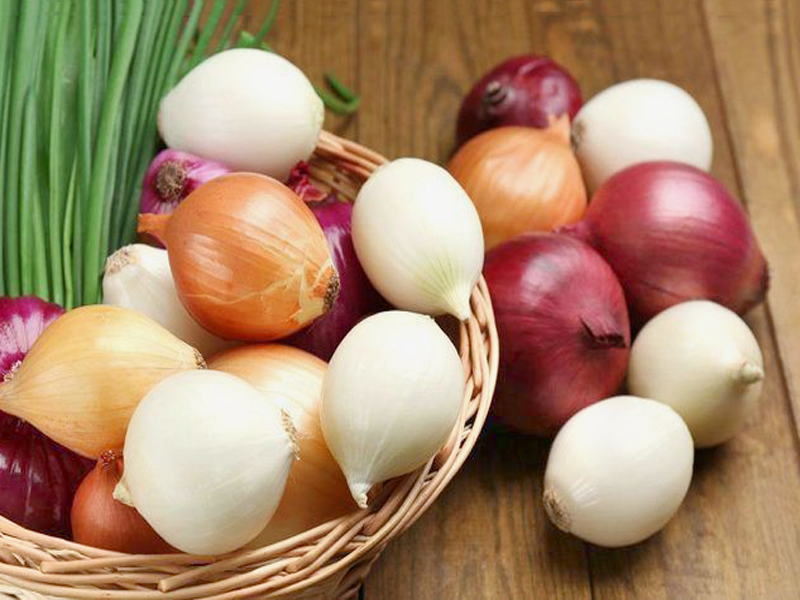 Блюда с луком