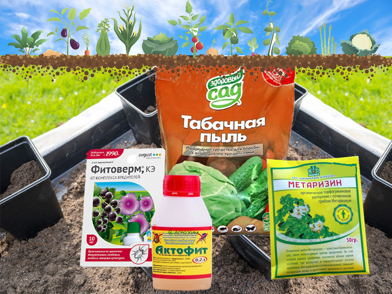 Идеальная земля для рассады – готовим сами