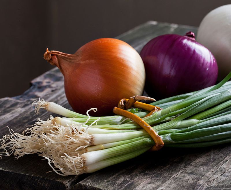 Целебные свойства лука