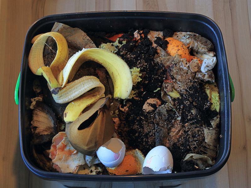 Бокаши – огородное плацебо 