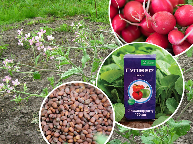 Обойдемся без стрелок