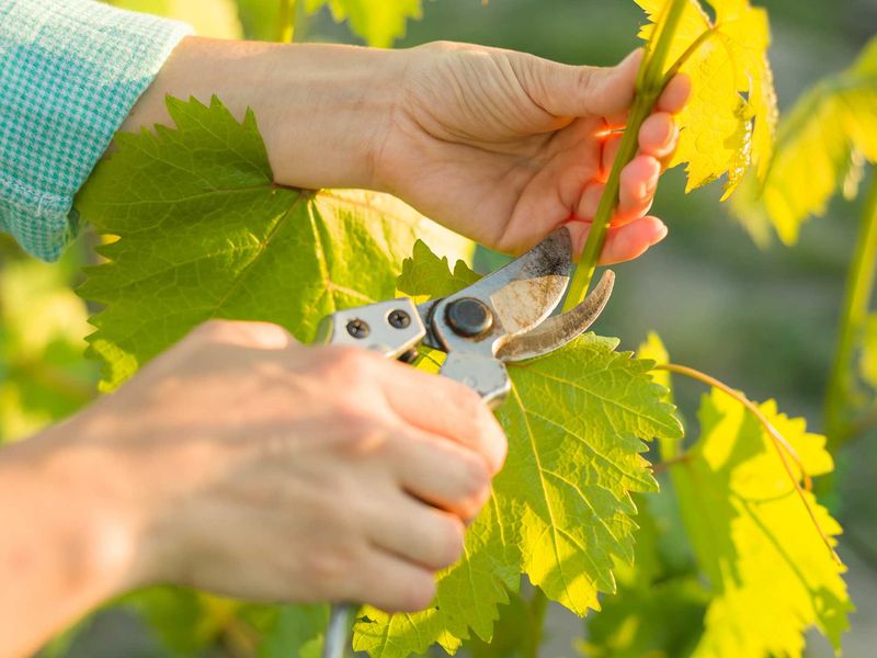 Да будет свет!