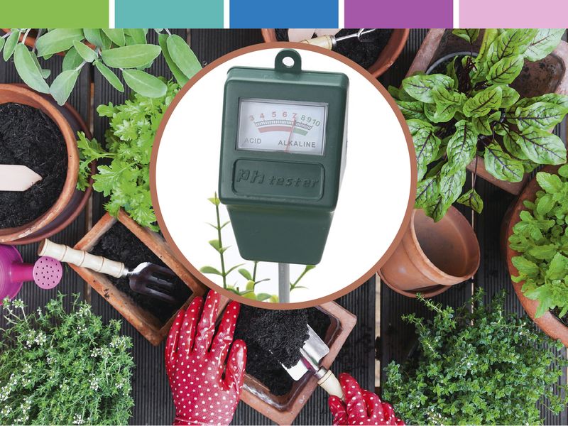 Как определить кислотность почвы