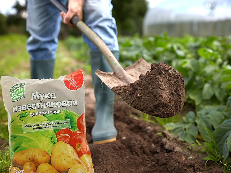 Как изменить кислотность почвы