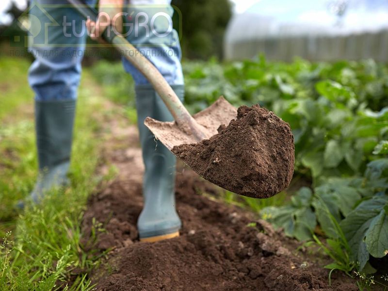 Биотопливо для теплицы