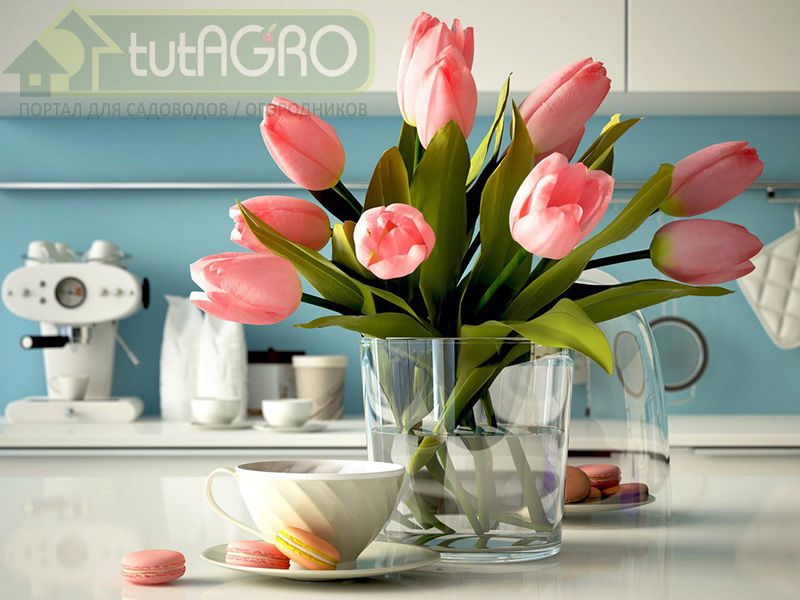 Весенние настроение – готовим овощи 