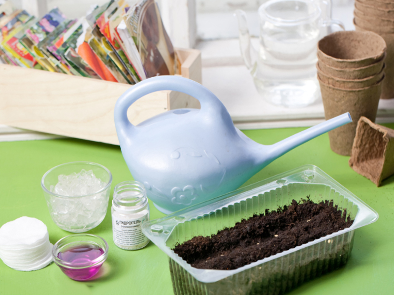 Подготовка семян к посеву