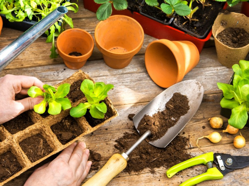 Весна идет, весне - дорогу! Календарь работ огородника