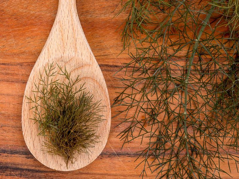 Фенхель НЕ обыкновенный