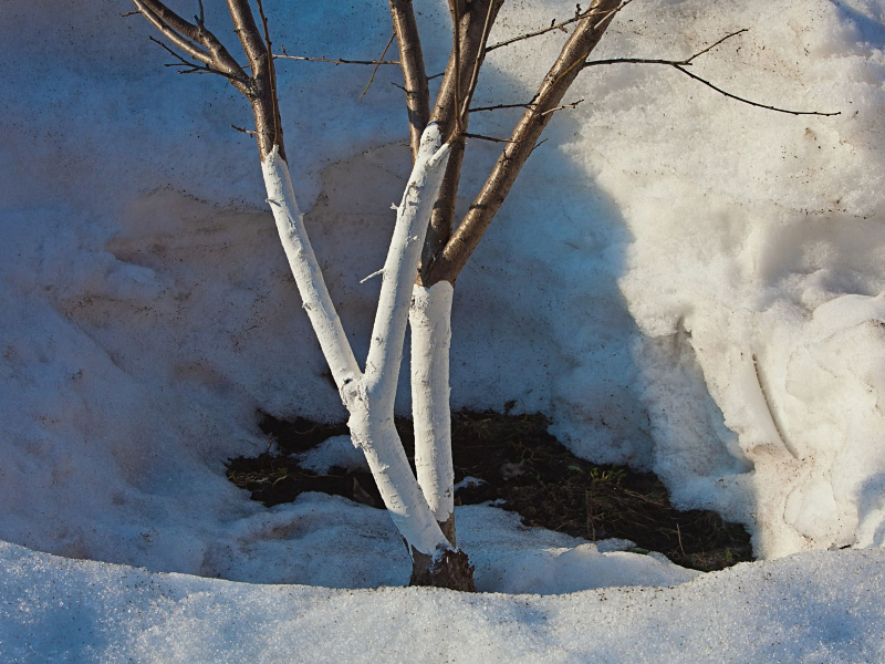 Садовод, встречай весну!