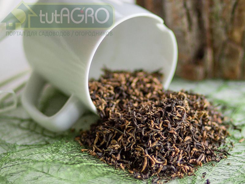 Отходы или ценные удобрения?