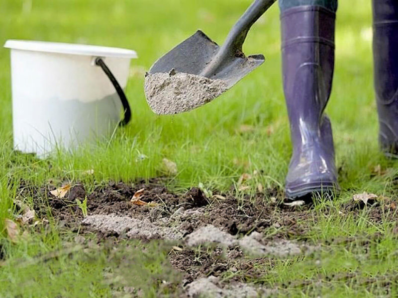 Почва лучше - урожаи больше