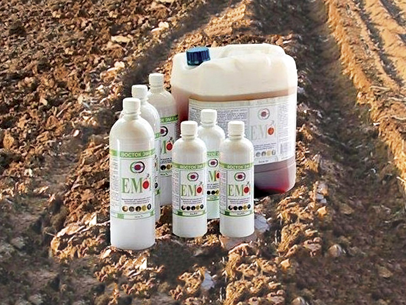 ЭМ-препараты - чудо-средство или пустышка?