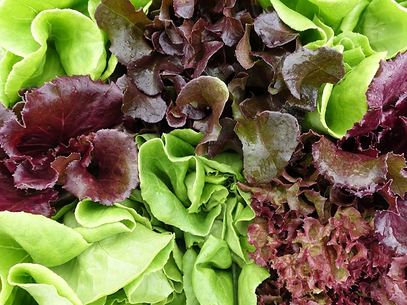 Салаты бывают разные