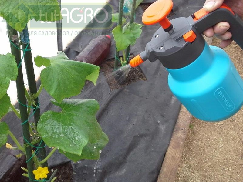 Стопка водки для урожайной сотки