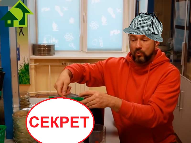 Многие элементы питания для растений мы можем добыть, как ни странно... просто из воды. В этом видео я поделюсь оригинальным способом подкормки и оздоровления растений, при котором не надо ничего покупать, то есть совсем. Подкормка рассады... БЕЗ УДОБРЕНИЙ!