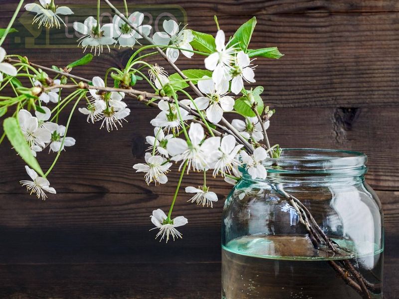 В ожидании весны