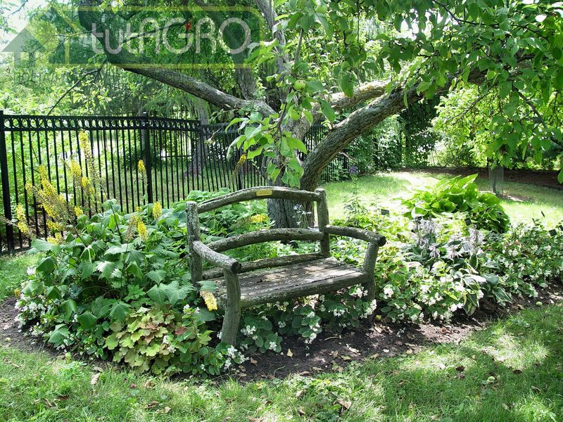 Приствольные круги - не пустое место 