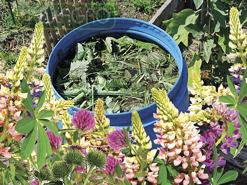 Травяной настой - готовим с Иваном РУССКИХ