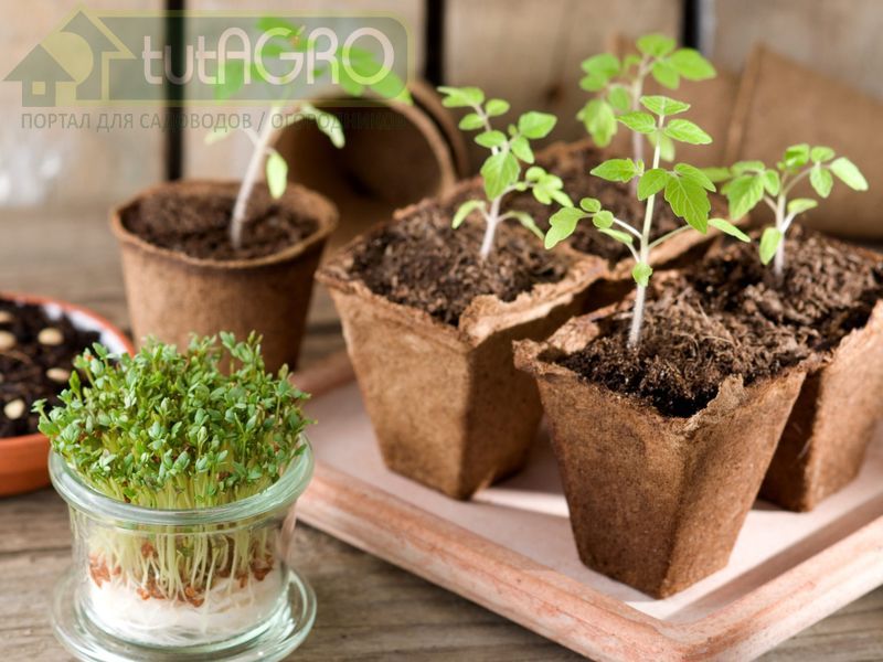 Креативный посев