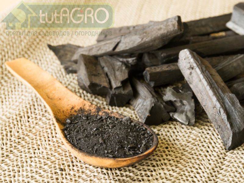 Суперудобрение своими руками