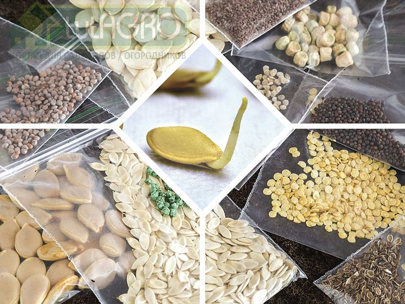 Биообработка семян перед посевом