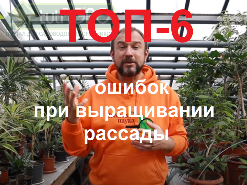Выращивание рассады овощной культуры — это достаточно сложный процесс, требующий вашего внимания и заботы. В этом видео я расскажу об ошибках. Иван Русских. ТОП-6 ОШИБОК начинающих огородников при выращивании рассады