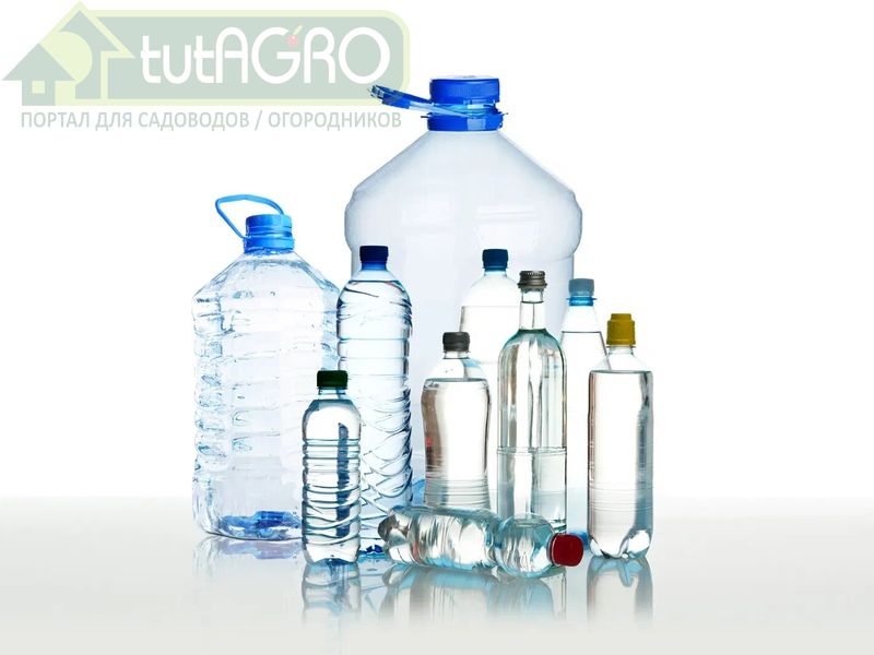 Пластик в нашем организме: откуда взялся и в каких продуктах его больше всего? 