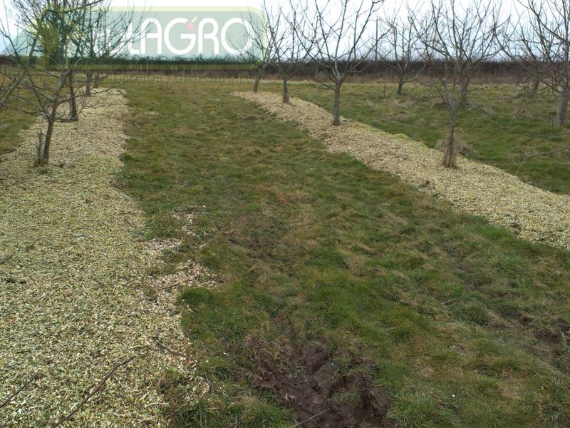 Лучшее место для сада 