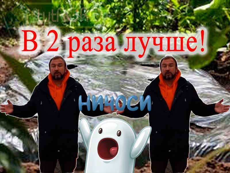 Из видео вы узнаете как можно использовать сразу два типа мульчирования и какие это дает преимущества. Приготовьтесь к двойному мульчированию!