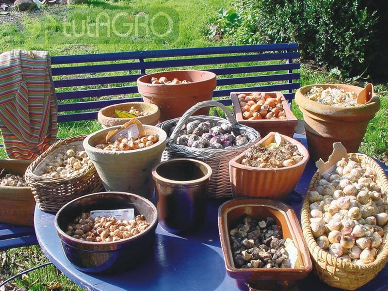 Биопрепараты спешат на помощь