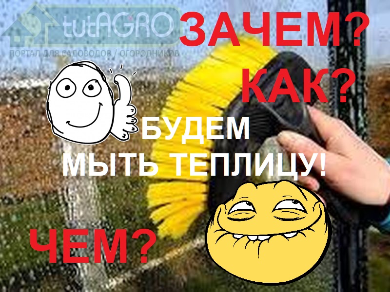 Даже если вы и очень заботливый и старательный хозяин своей теплицы и проделали отличную генеральную уборку осенью, весенняя мойка совсем не помешает. Чем помыть теплицу? Дезинфекция и обеззараживание теплицы