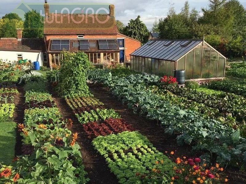 Огородничество по Джевонсу? Лучше - по уму!