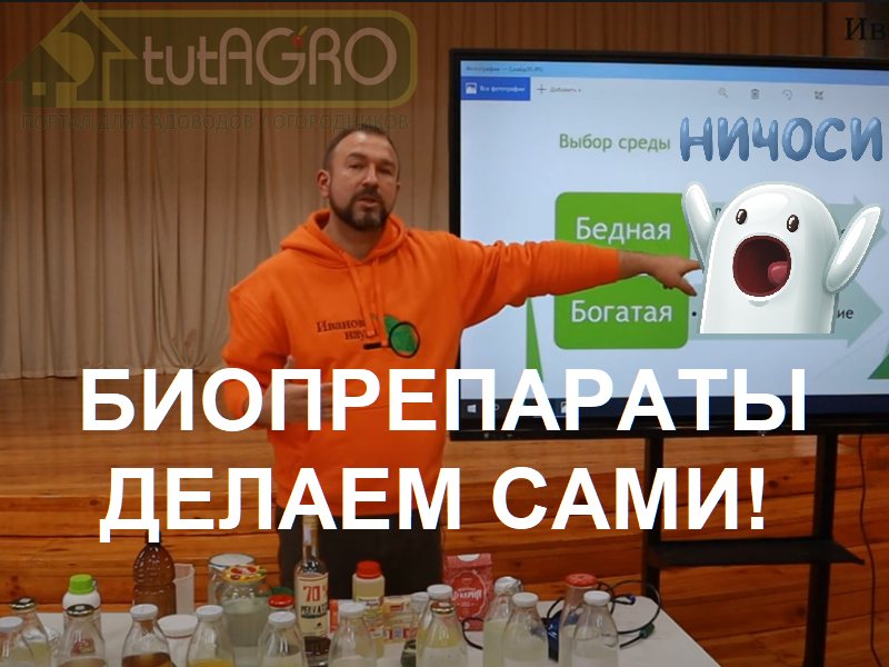 Эта видеоверсия семинара, проведенного 14 апреля 2022 г. в Республиканском центре экологии и краеведения, надеюсь, поможет вам разобраться во многих вопросах выращивания домашних биопрепаратов! ВСЁ О ВЫРАЩИВАНИИ ДОМАШНИХ ПРЕПАРАТОВ: от закваски до оценки качества и использования.