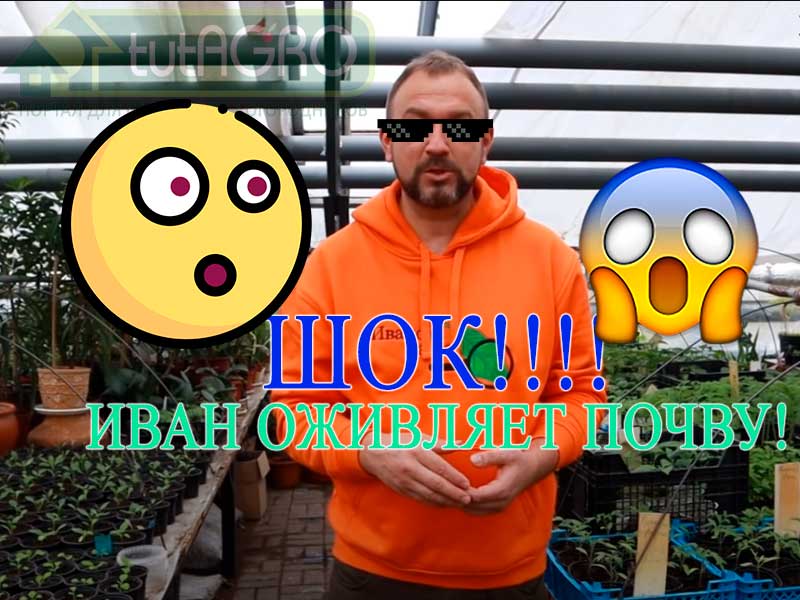 Весенний посев сидератов - отличный способ увеличить плодородие, подготовить, оживить почву и... уничтожить некоторых опасных вредителей! Оживите почву этим весенним сидератом