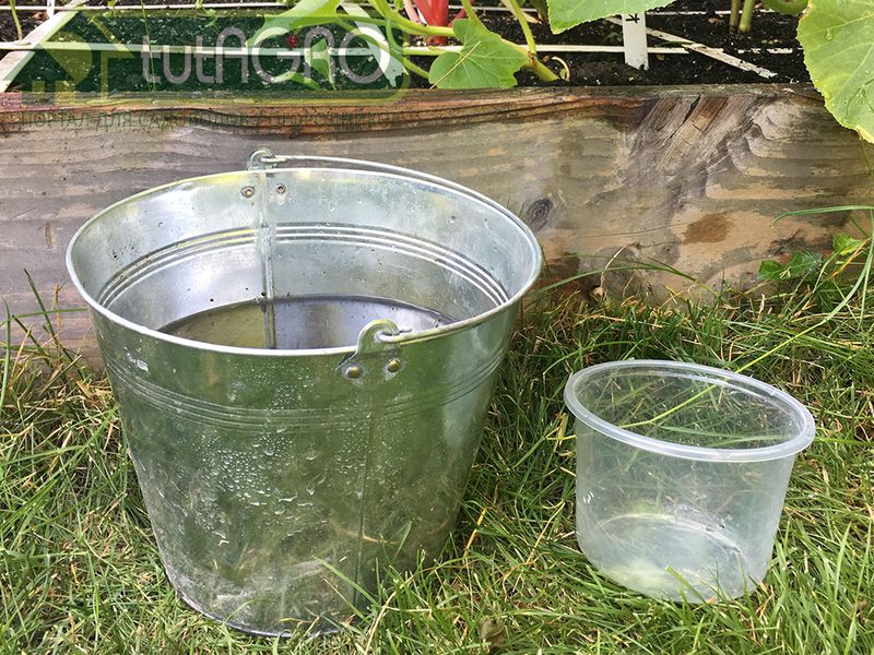 Удобрения: готовим сами