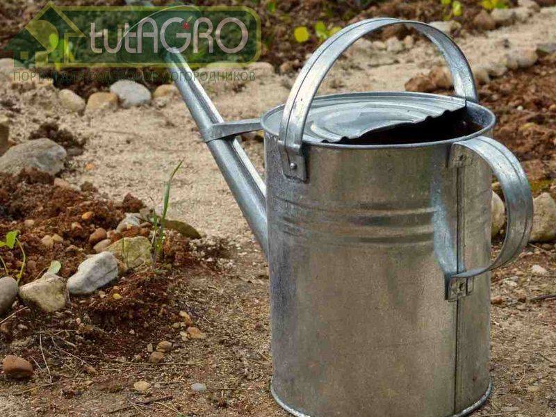 Удобрения: готовим сами