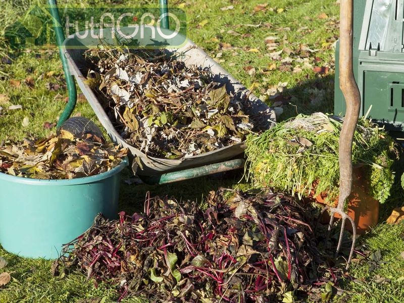 Компост, еще компост!